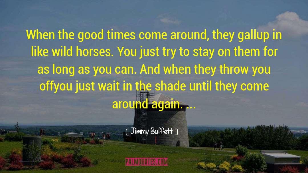Inspirational Horse quotes by Jimmy Buffett
