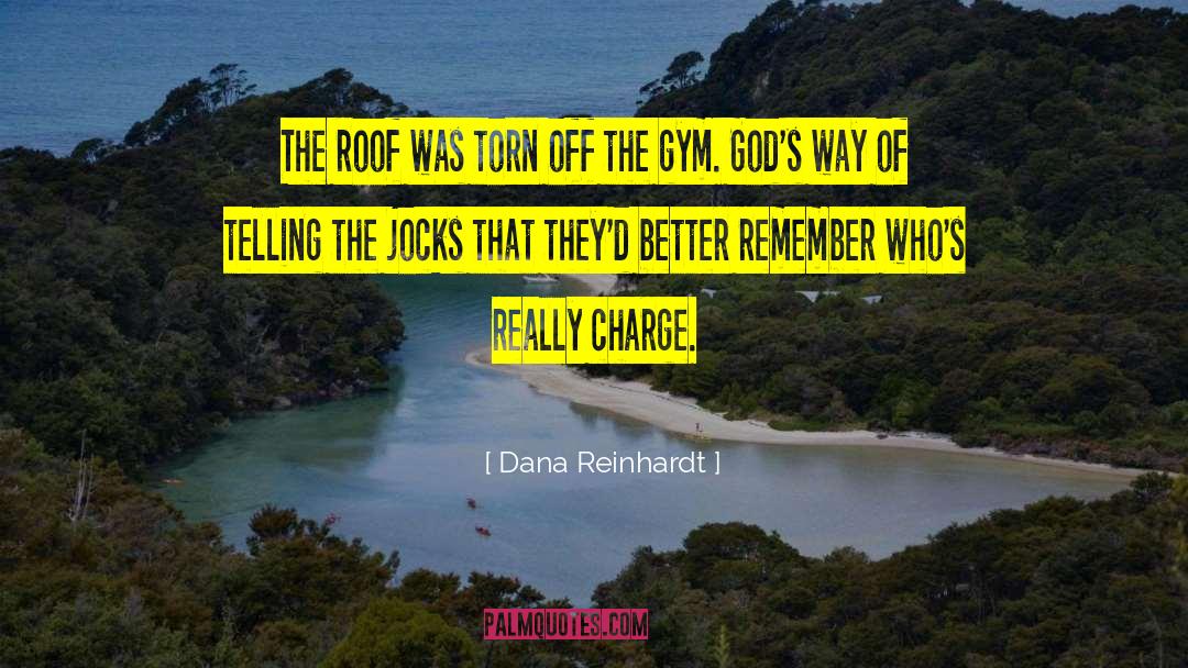 Inspirational Humor quotes by Dana Reinhardt