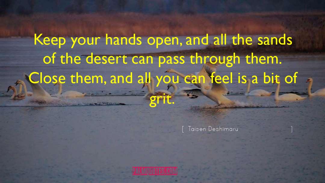 Inspirational Ife quotes by Taisen Deshimaru