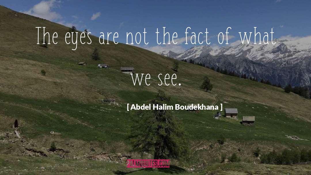 Inspirational Ife quotes by Abdel Halim Boudekhana