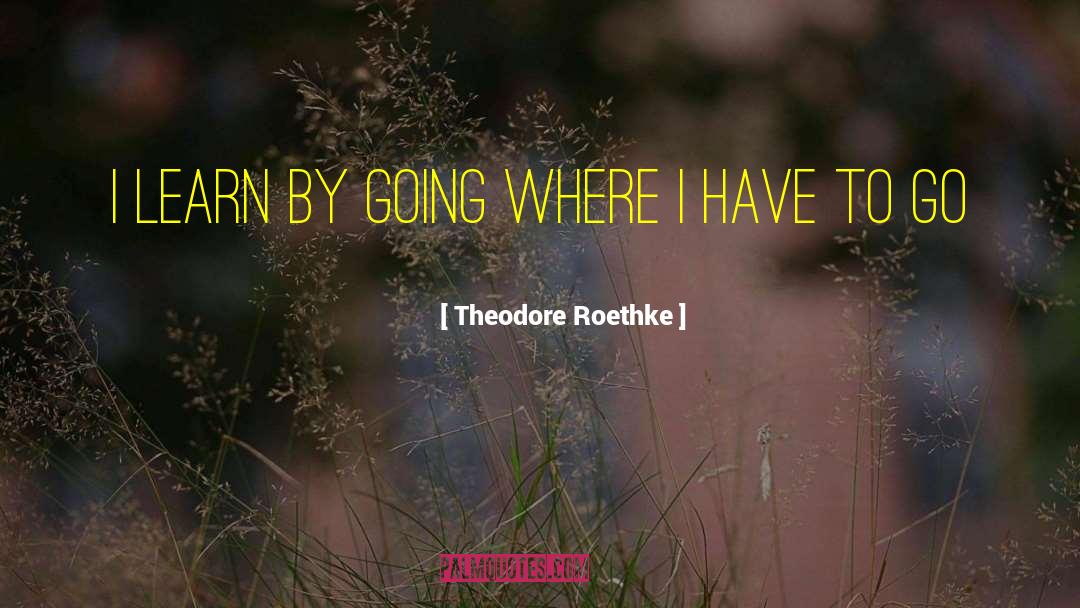 Inspirational Learning quotes by Theodore Roethke