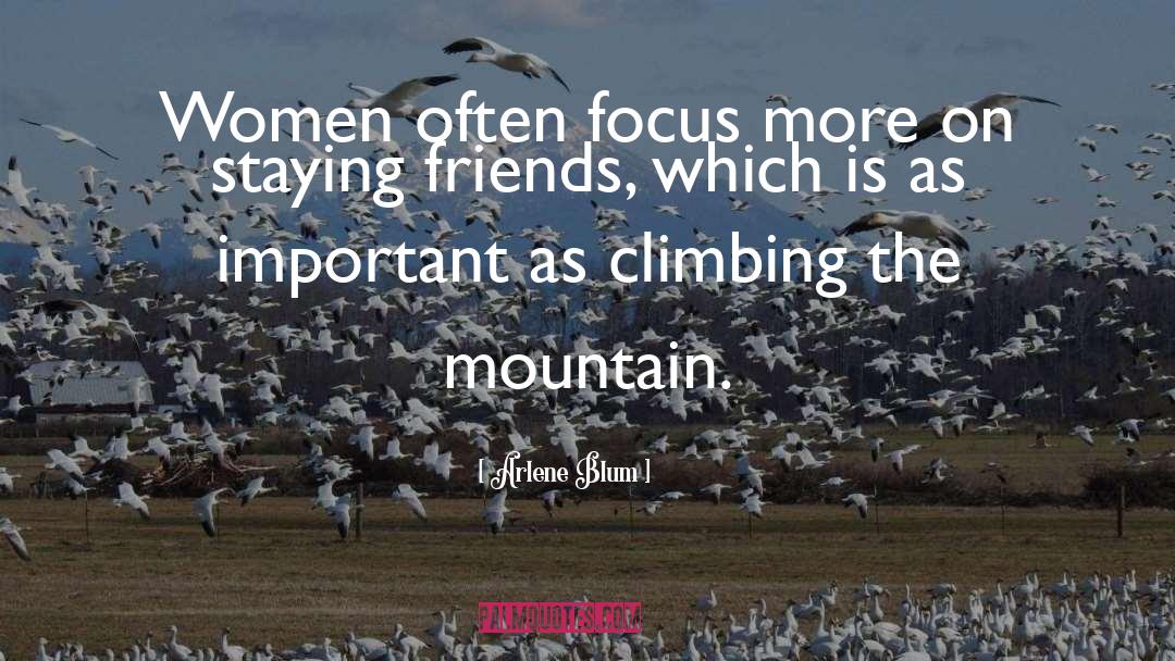 Inspirational Mountain Climbing quotes by Arlene Blum