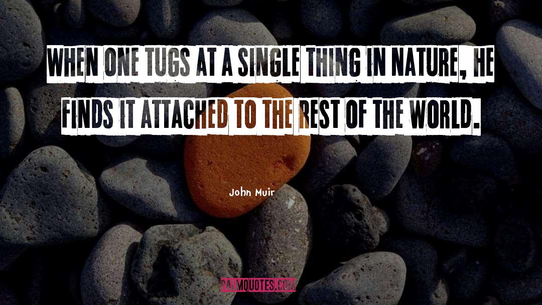 Inspirational Nature quotes by John Muir