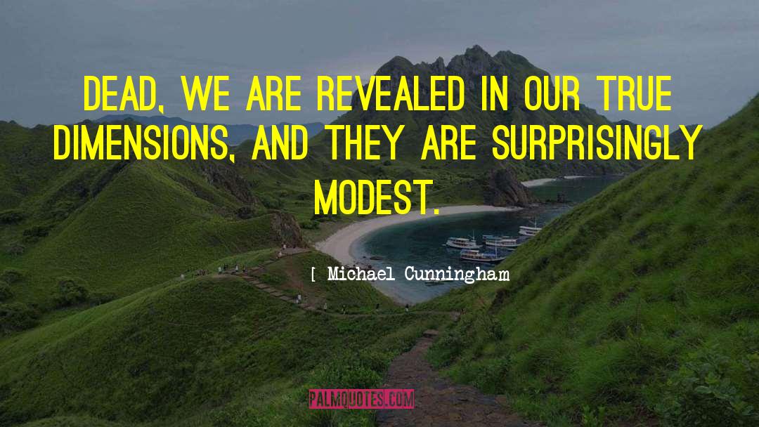 Inspirational Persona quotes by Michael Cunningham