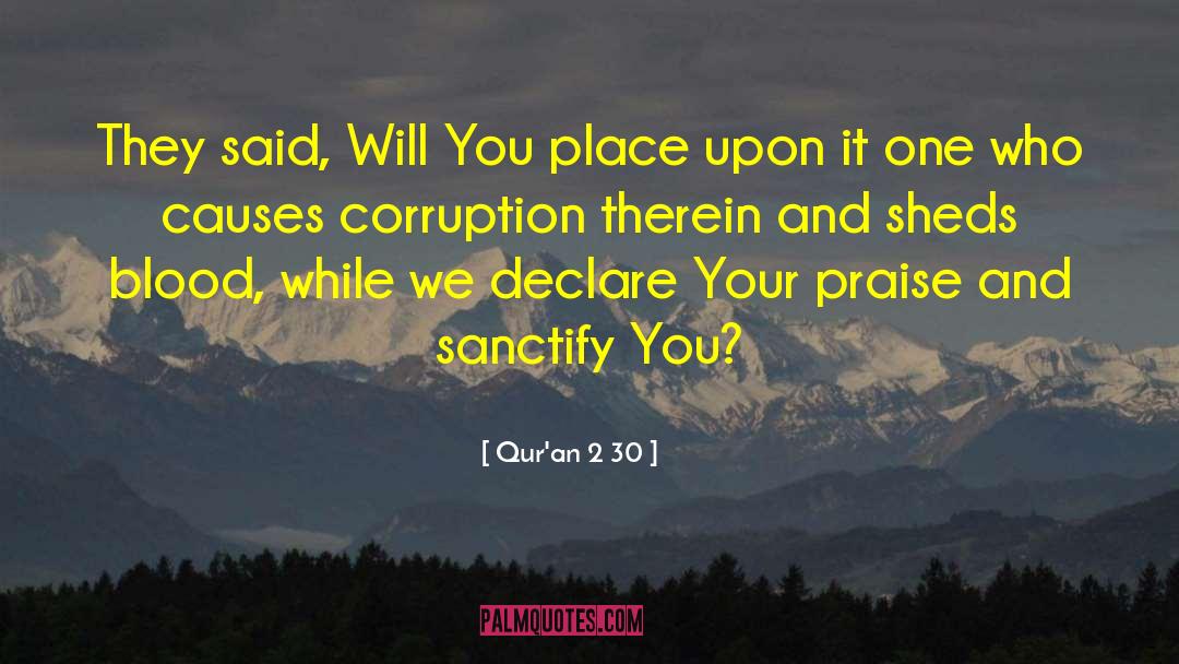 Inspirational Philosophical quotes by Qur'an 2 30