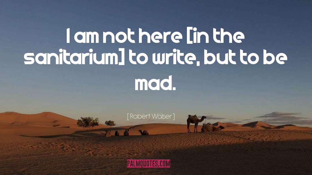 Inspirational Poetry quotes by Robert Walser