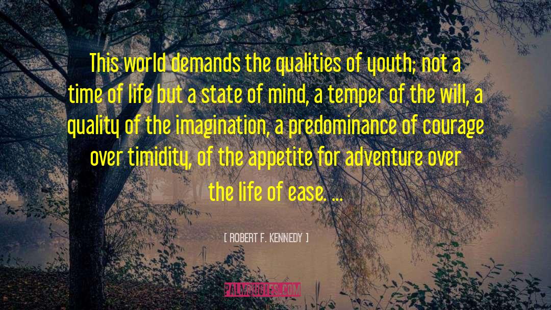 Inspirational Quality quotes by Robert F. Kennedy