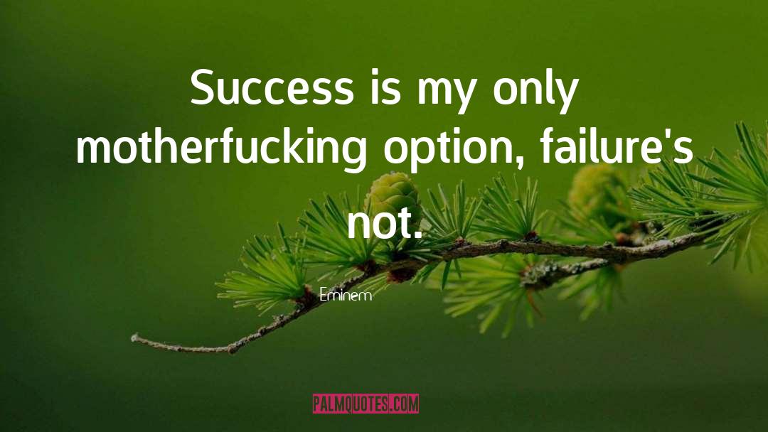 Inspirational Success quotes by Eminem