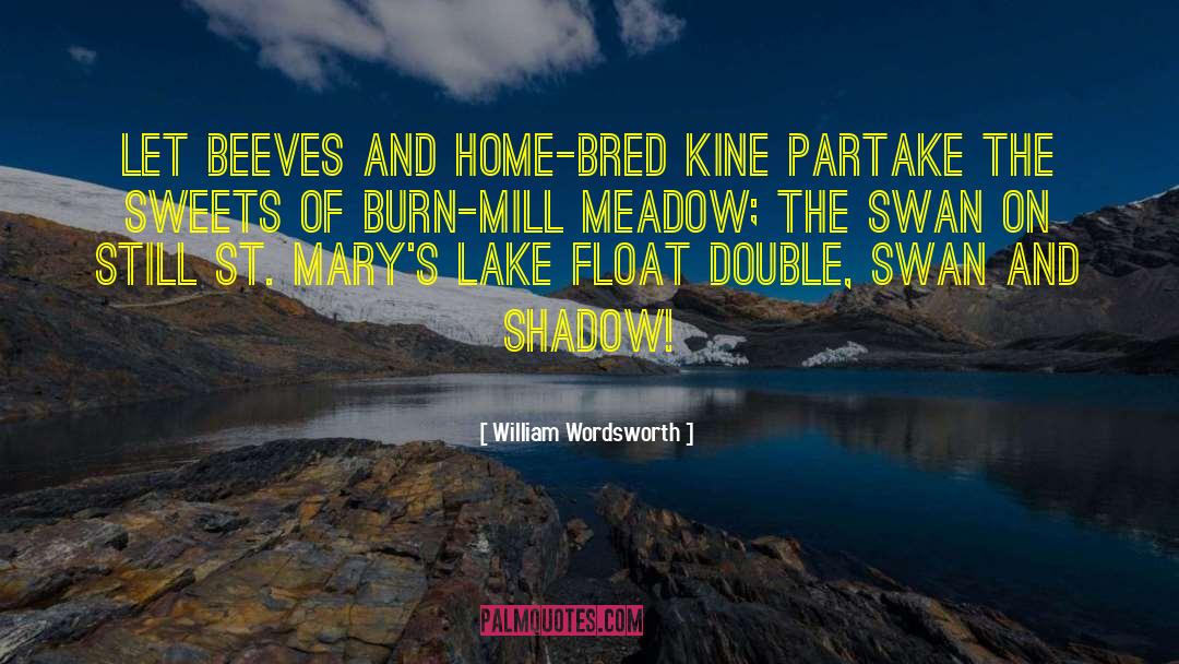 Inspirational Swan quotes by William Wordsworth