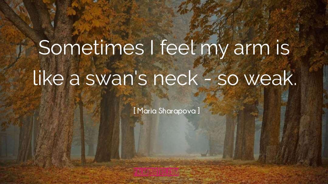 Inspirational Swan quotes by Maria Sharapova