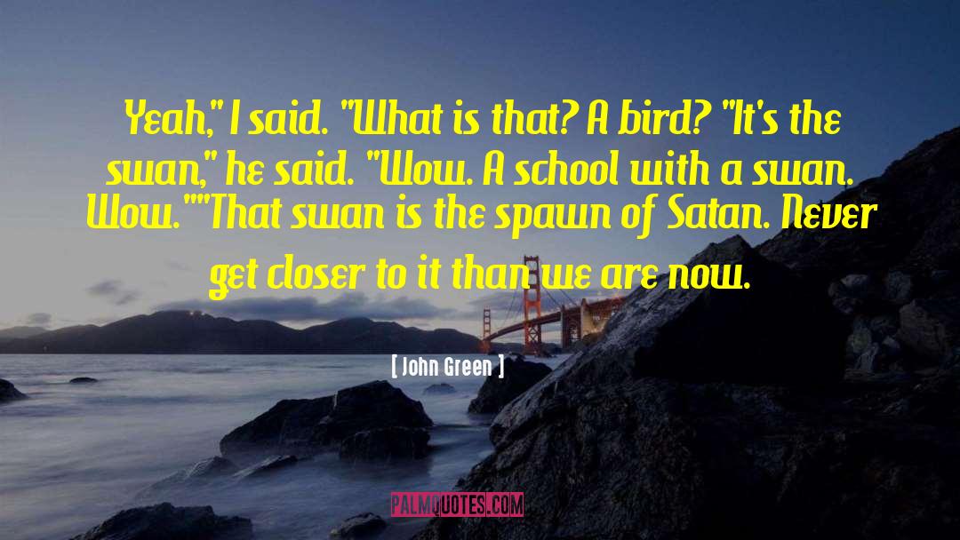 Inspirational Swan quotes by John Green