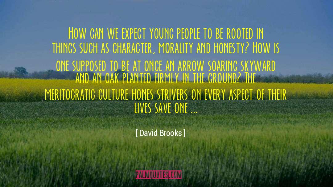 Inspirational Things quotes by David Brooks