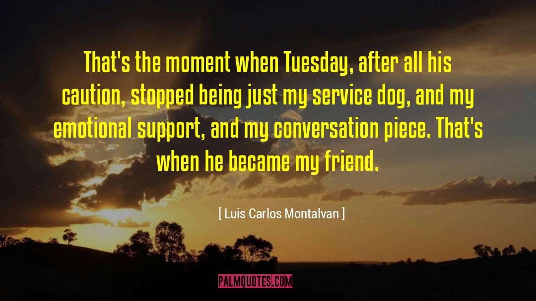 Inspired Moment quotes by Luis Carlos Montalvan