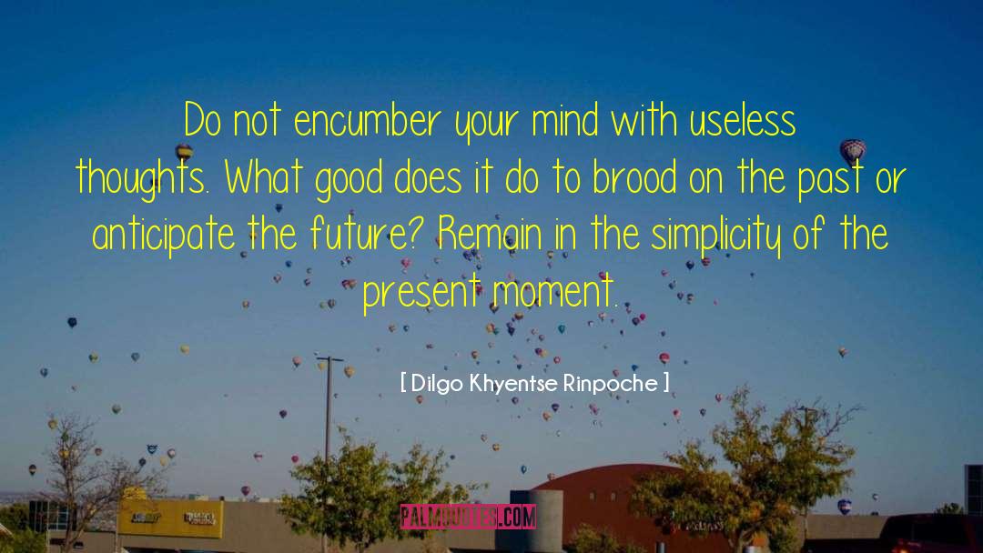 Inspired Moment quotes by Dilgo Khyentse Rinpoche