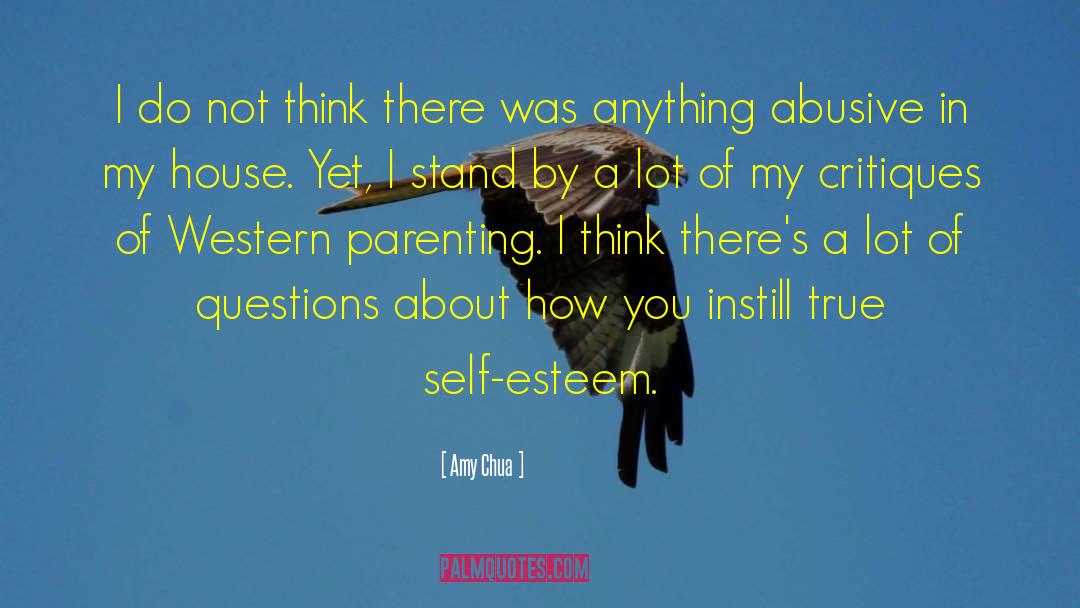 Inspiring Self Esteem quotes by Amy Chua