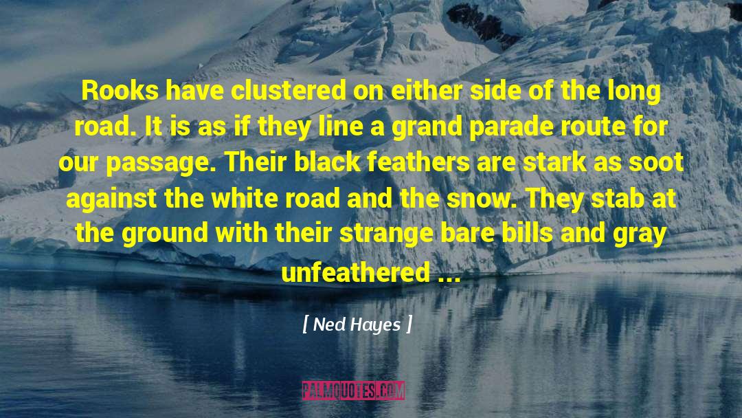 Inspriational Historical Fiction quotes by Ned Hayes