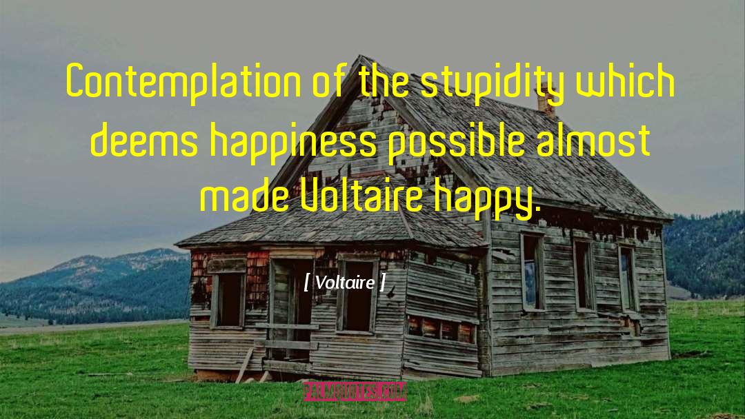 Instant Happy quotes by Voltaire