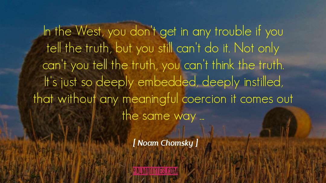 Instilled quotes by Noam Chomsky