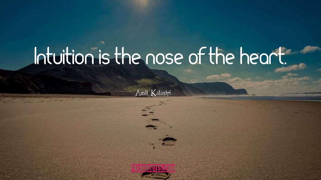 Instinct Intuition quotes by Amit Kalantri
