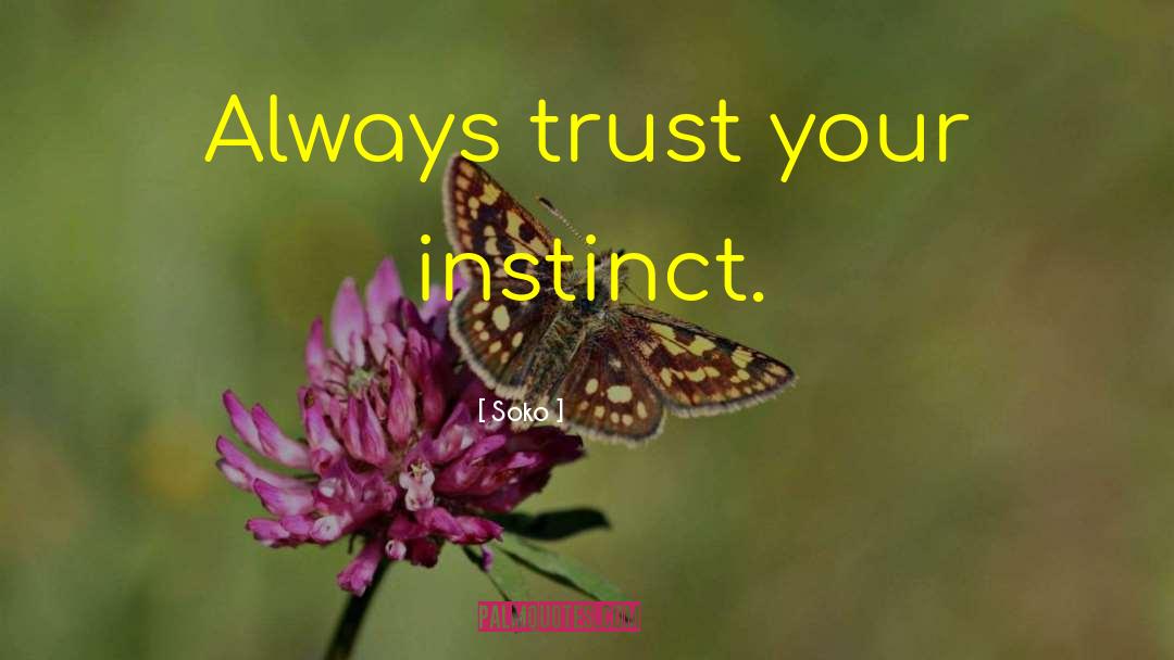 Instinct Intuition quotes by Soko