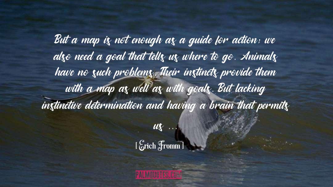 Instincts quotes by Erich Fromm