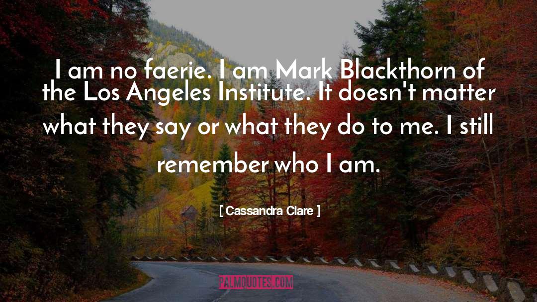 Institute quotes by Cassandra Clare