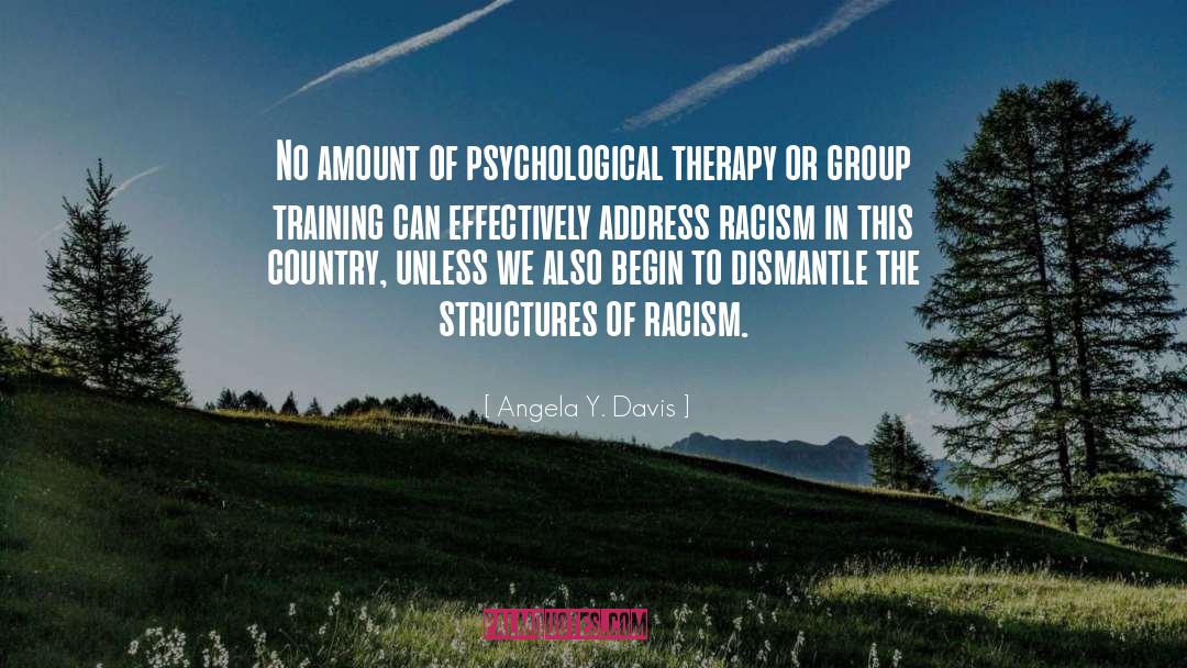 Institutional Racism quotes by Angela Y. Davis