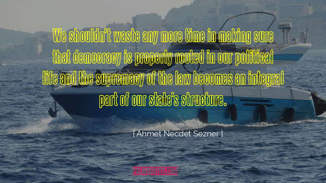 Institutional Structure quotes by Ahmet Necdet Sezner