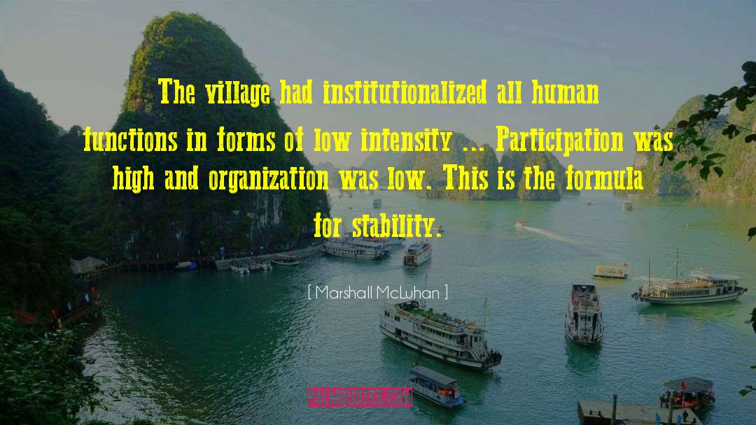 Institutionalized quotes by Marshall McLuhan