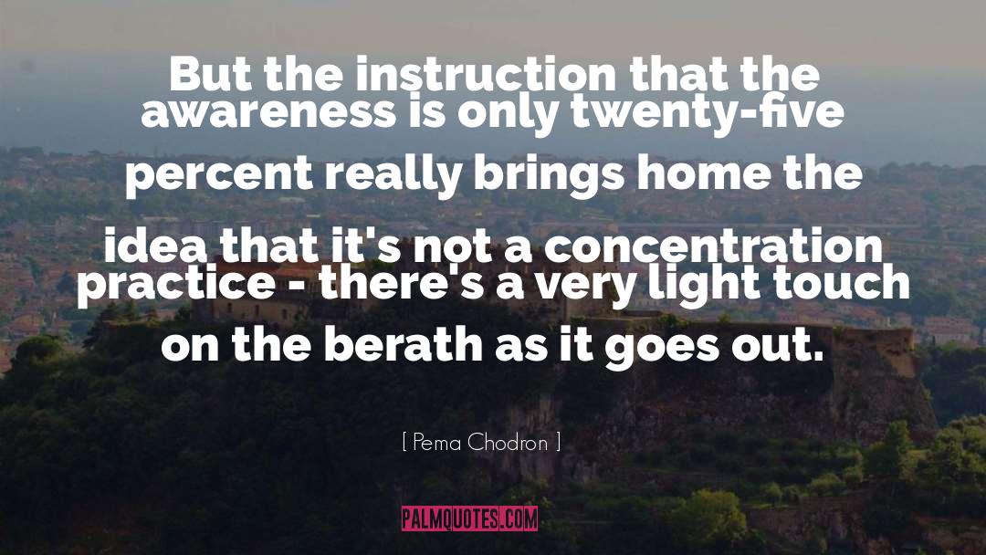 Instruction Not Included quotes by Pema Chodron