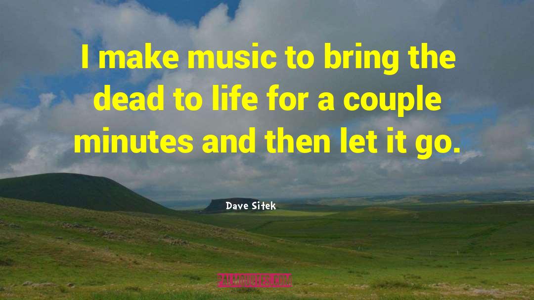 Instrumental Music quotes by Dave Sitek