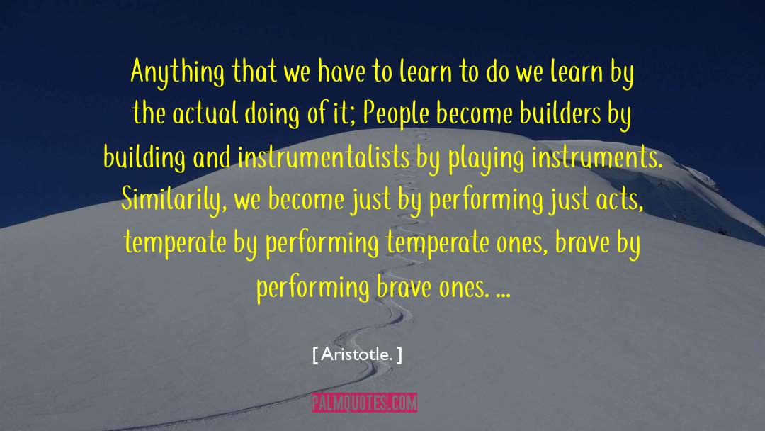 Instrumentalists quotes by Aristotle.