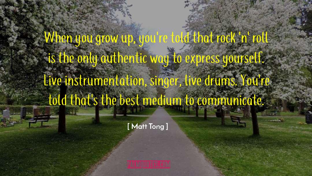 Instrumentation quotes by Matt Tong