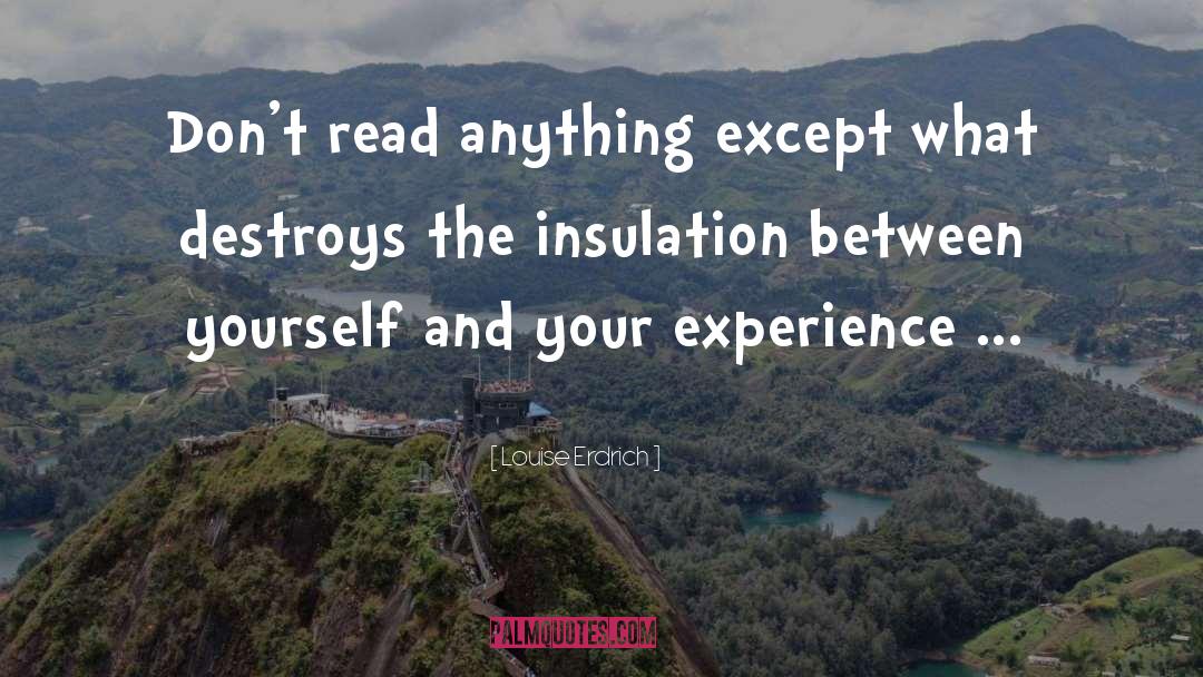 Insulation quotes by Louise Erdrich