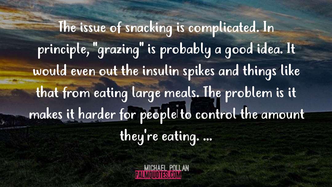 Insulin quotes by Michael Pollan