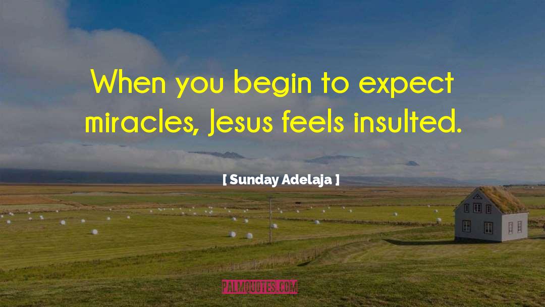 Insulted Him quotes by Sunday Adelaja