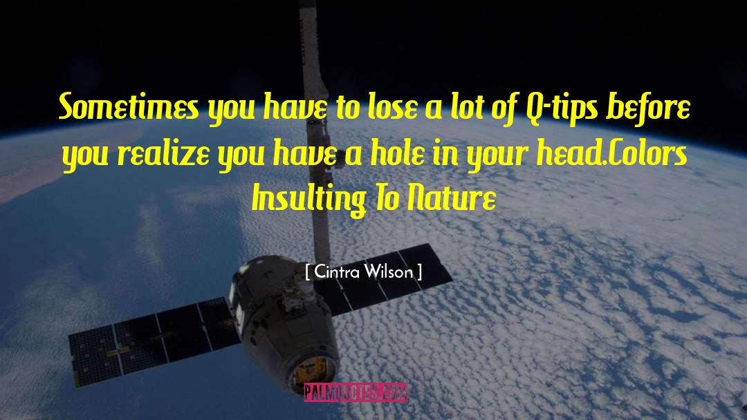Insulting Me quotes by Cintra Wilson