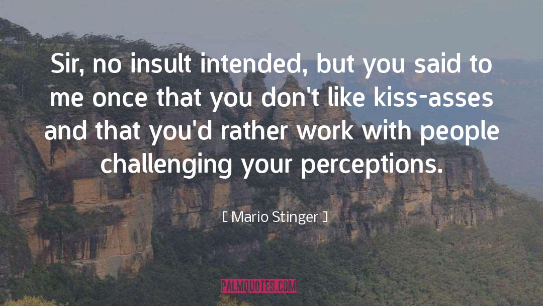 Insults And Slander quotes by Mario Stinger