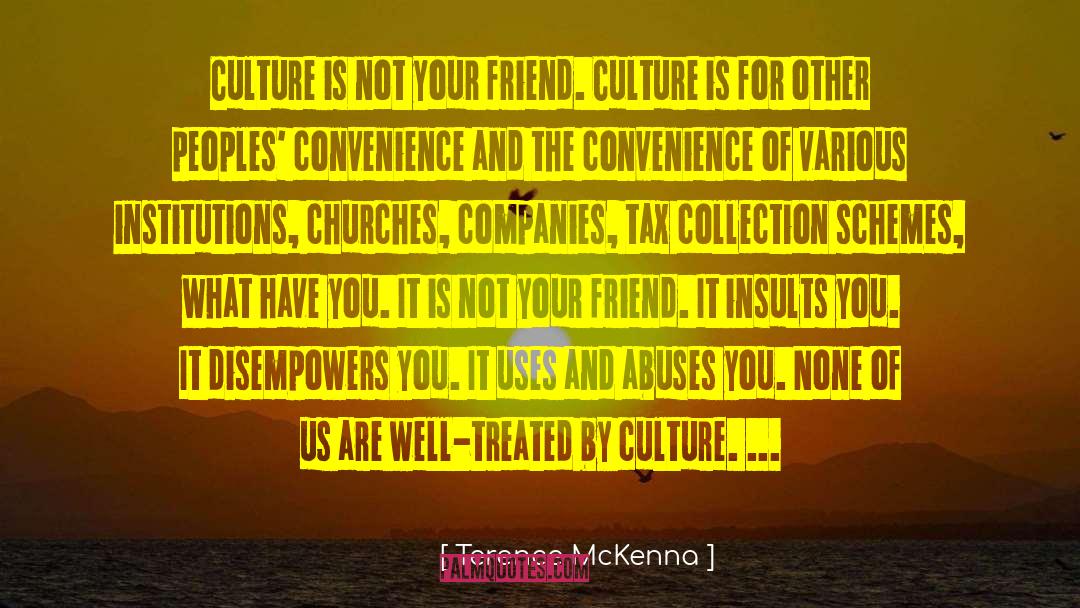 Insults You quotes by Terence McKenna