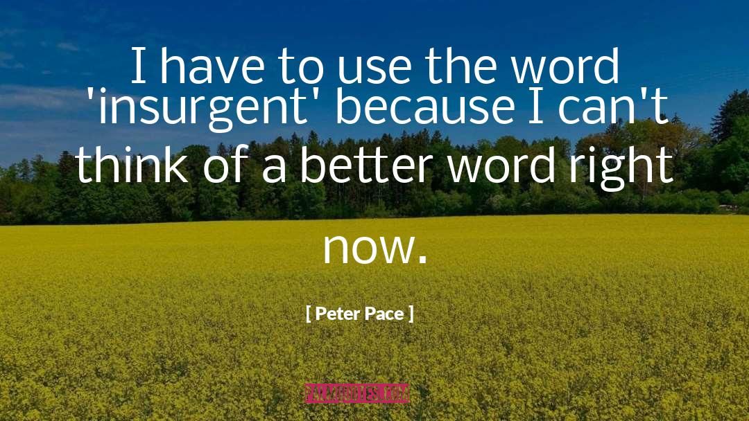 Insurgent quotes by Peter Pace