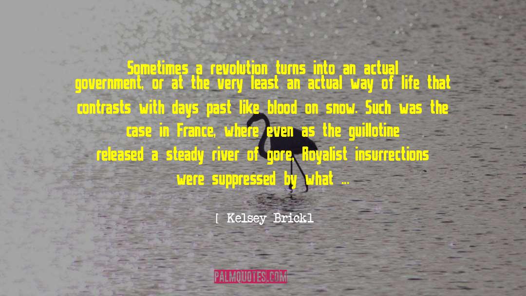 Insurrection quotes by Kelsey Brickl