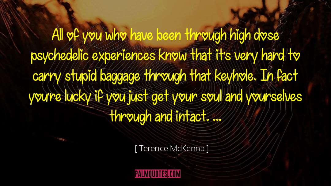 Intact quotes by Terence McKenna
