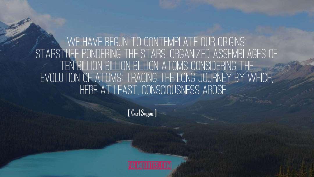 Integral Consciousness quotes by Carl Sagan