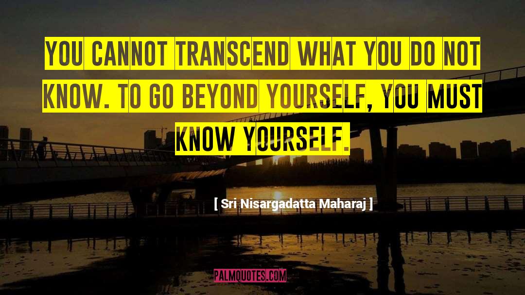 Integral Spirituality quotes by Sri Nisargadatta Maharaj