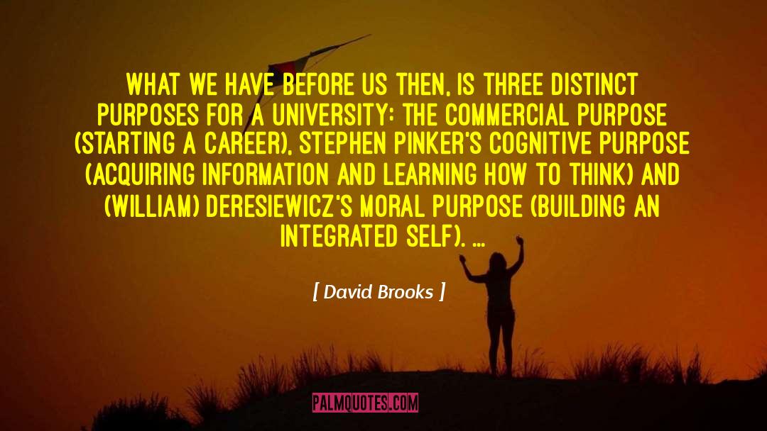 Integrated Learning quotes by David Brooks