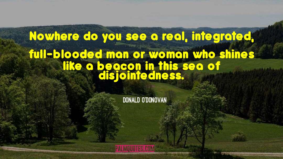 Integrated quotes by Donald O'Donovan