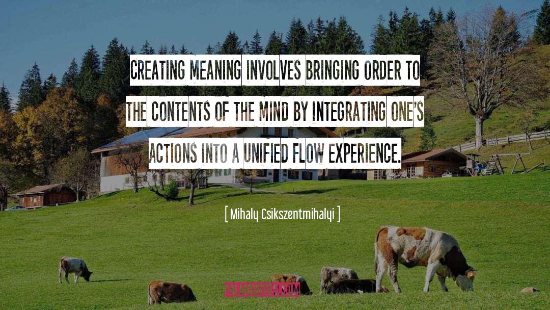 Integrating quotes by Mihaly Csikszentmihalyi