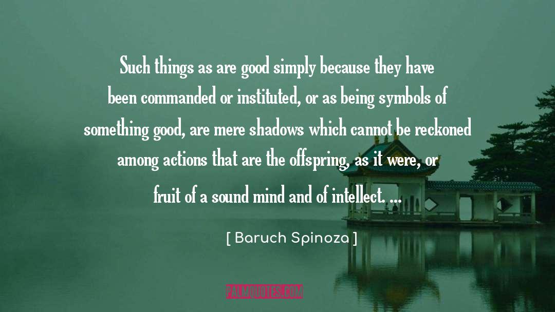 Intellect quotes by Baruch Spinoza