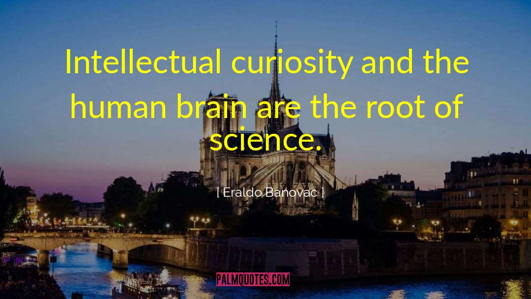 Intellectual Curiosity quotes by Eraldo Banovac