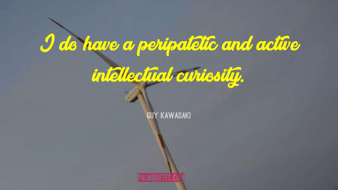 Intellectual Curiosity quotes by Guy Kawasaki